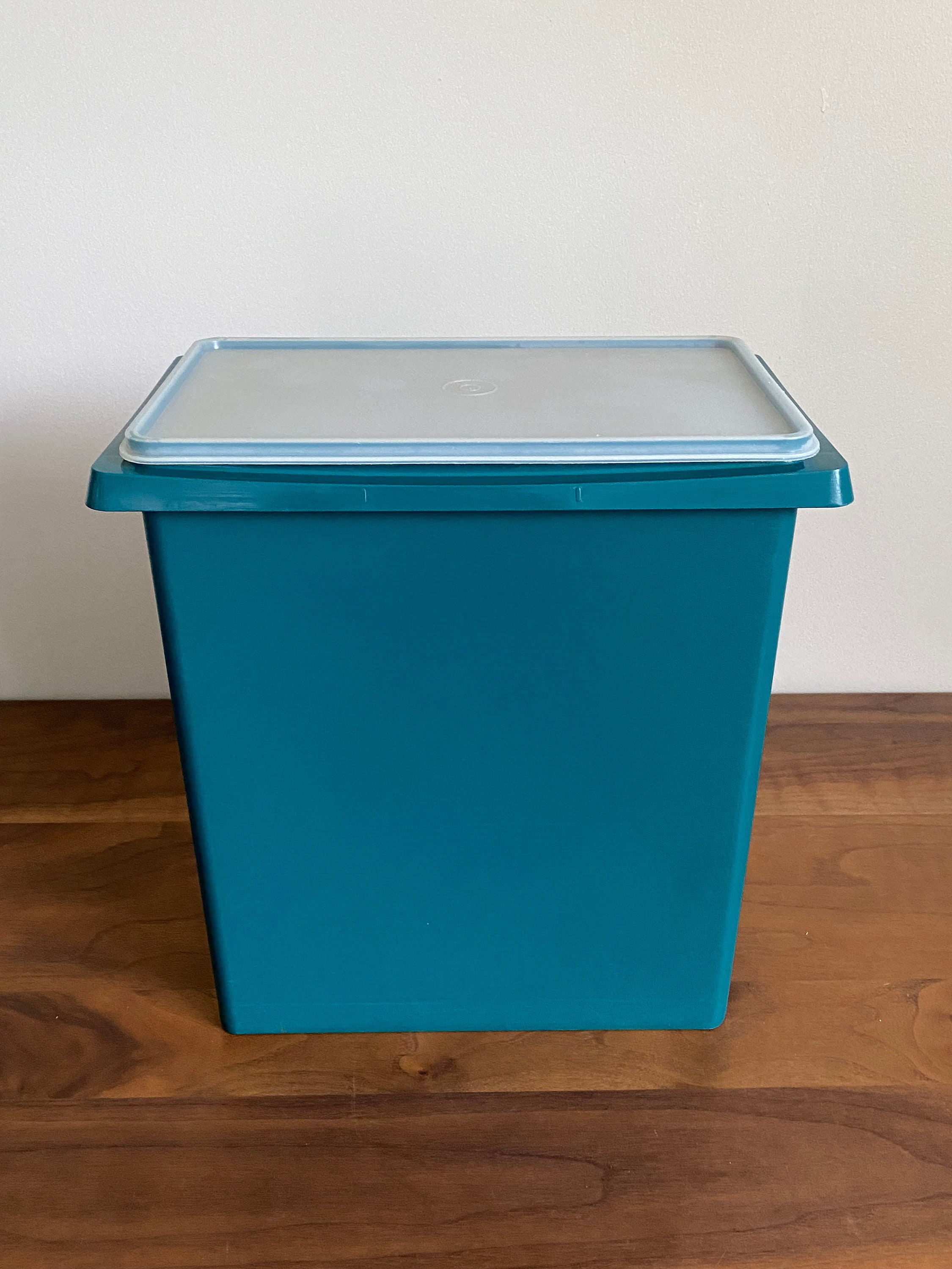 Tupperware Large Carry All Storage Container with Handle 13L Tropical Blue  New