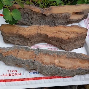 May include: Three pieces of natural wood bark with a rough, textured surface. The bark is primarily brown with lighter, tan-colored inner sections. The pieces vary in size and shape, with visible cracks and ridges.