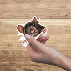 May include: A brown and black rat sticker with a white outline. The rat is looking at the camera with its mouth slightly open. The sticker is being held by a hand.