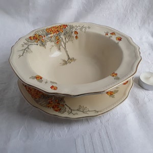 Plat de service et assiette en porcelaine tendre Alfred Meakin Marigold Coralie, design Art déco