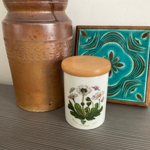Vintage PORTMEIRION Botanic Garden Collection, Deckeldose, KeramikKanister, Daisy