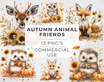 Clipart di animali autunnali, animali del bosco acquerellati, cervi, ricci, gufi, volpi, disegni a sublimazione, uso commerciale, PNG trasparente