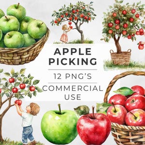 Clipart de outono de colheita de maçãs, árvore de aquarela, cesta, pomar, verde, PNG transparente, DOWNLOAD DIGITAL, instantâneo, uso comercial, 300 dpi