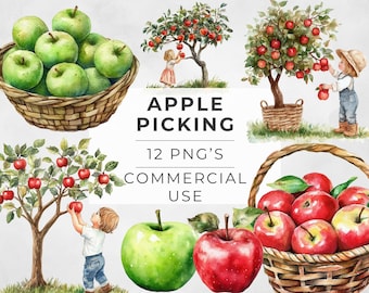 May include: Watercolor illustration of apple picking with 12 PNG images for commercial use. The illustration features red and green apples, apple trees, baskets, and children picking apples.