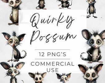 Quirky Opossum Clipart, Quirky Possum, Weird, Possum Bundle, Transparent PNG, Shirt Designs, Card Designs,  DIGITAL DOWNLOAD, Commercial Use