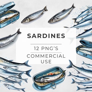 Sardine Clipart: Watercolor Seafood Illustration (PNG, Commercial Use)