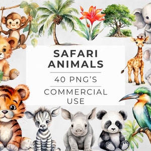 Bundle de clipart animaux de safari, bébés mignons de la jungle, Images de baby shower, Lion, tigre, singe, girafe, rhinocéros, usage commercial, PNG Transparent,