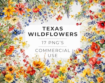 Texas Wildflowers Clipart: Watercolor Bluebonnet PNG Images (Commercial Use)