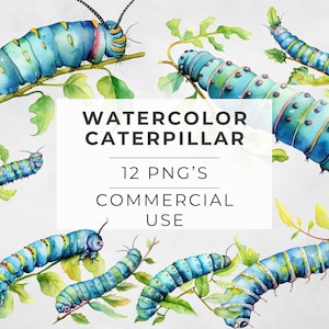 Watercolor Caterpillar Clipart, Cute Bugs, Nature, Hungry Caterpillar, Cute, Caterpillar, Insect, Digital Download, INSTANT, Commercial Use