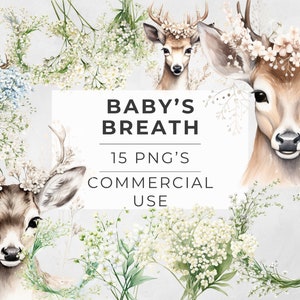 Baby's Breath afbeeldingen clipart, Babys Breath aquarel bloemen Pack, huwelijksuitnodiging, hertenkroon, plakboekafbeeldingen, png, DIGITALE DOWNLOAD