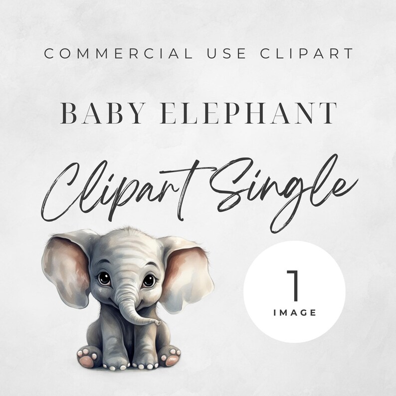 Baby Elephant Transparent PNG Clipart Safari Animal Image - Etsy