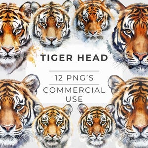 Tijgerkop clipart, aquarel gezicht van wilde dieren, sublimatie design, tijgers, transparante png, digitale download, instant, commercieel gebruik