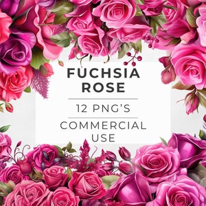Fuchsia Rose Clipart, Aquarellblumen für die Einladung, Blumenstrauß, Botanische, transparente PNG, kommerzielle Nutzung, Sublimationsdesigns
