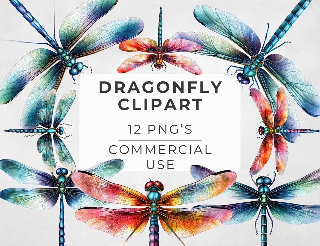 Dragonfly Png Clipart Collection Bundle, Insect Shirt Design, Digital ...
