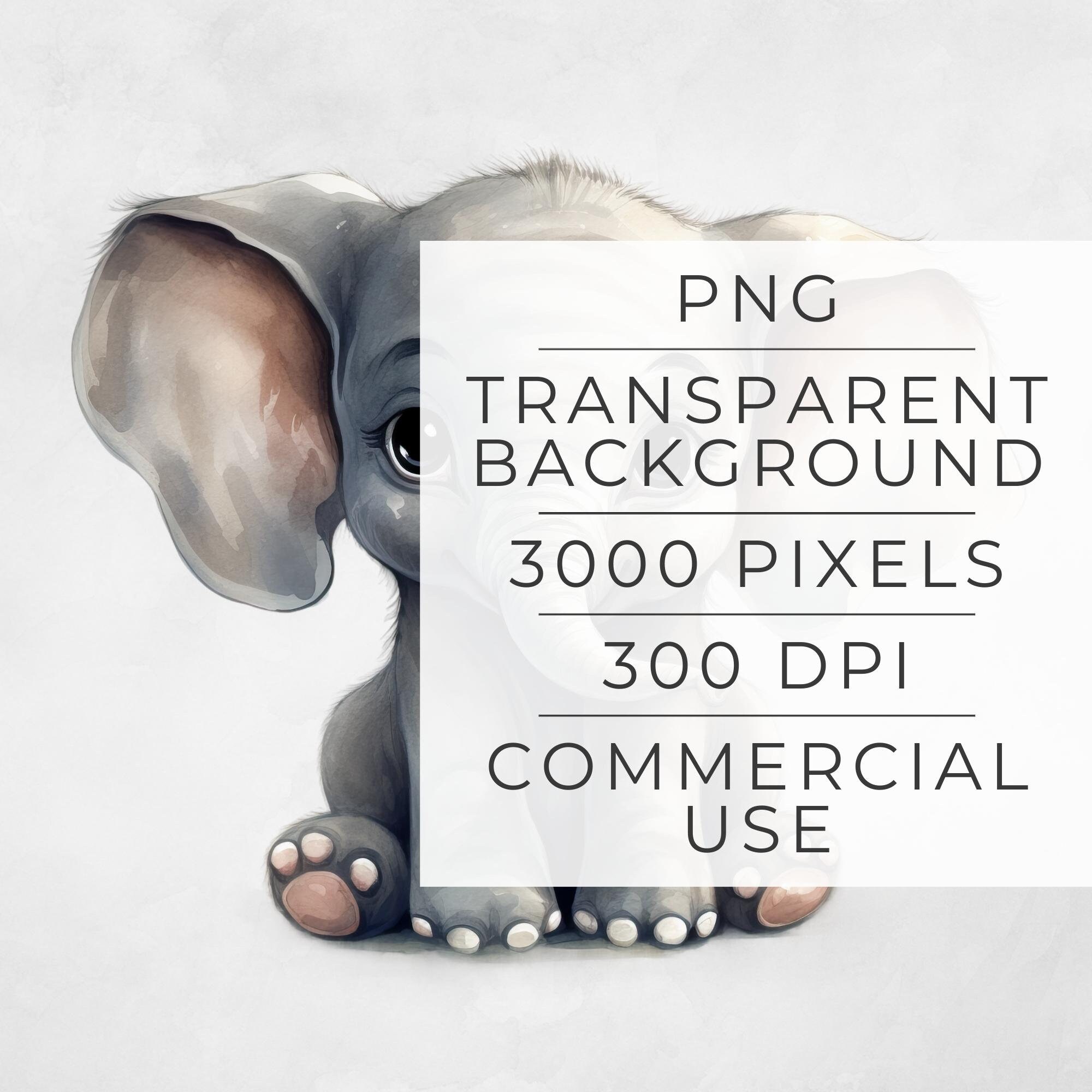 Baby Elephant Transparent PNG Clipart Safari Animal Image - Etsy