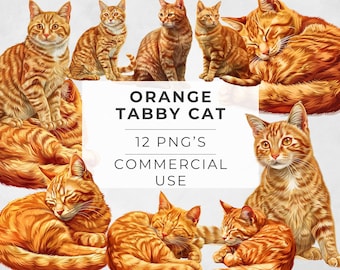 Orange Tabby Cat Clipart: Watercolor Pet Illustration (Digital Download)