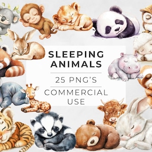 Clipart neutre animaux endormis, aquarelle de bébés animaux de la chambre d'enfant, forêt, sauvage, paresseux, PNG transparent, téléchargement numérique, usage Commercial