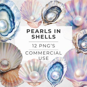 May include: Twelve digital illustrations of iridescent seashells with pearls inside. The text "Pearls in Shells" and "12 PNG's Commercial Use" is displayed on a white background.