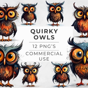 Eigenzinnige uil clipart, schattige dieren, plakboek, aquarel, junk Journal, grillig, kunst aan de muur, vogels, commercieel gebruik, transparante png, 300 dpi