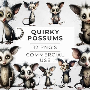Schrulliges Opossum Clipart, schrulliges Opossum, seltsam, Possum Bundle, transparente PNG, Shirt Designs, Kartendesigns, DIGITAL DOWNLOAD, kommerzielle Nutzung
