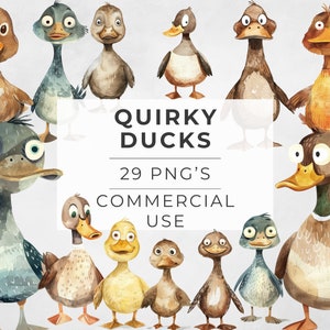 Puede incluir: Un conjunto de 29 ilustraciones digitales de patos extravagantes en varias poses y expresiones. Los patos están dibujados en un estilo acuarela con colores brillantes y detalles caprichosos. Las ilustraciones son perfectas para agregar un toque de diversión y personalidad a tus proyectos.