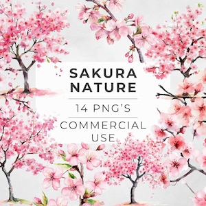 Sakura Natur Clipart, Aquarell Kirschblüten, Lotus Sakura Baum, Frühling, transparente PNG, DIGITAL DOWNLOAD, Instant, kommerzielle Nutzung