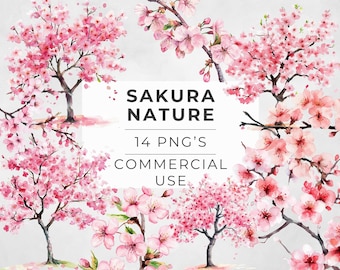 May include: A digital illustration set of 14 watercolor-style pink cherry blossom branches. The branches are arranged in a variety of positions and feature delicate pink flowers and green leaves. The text "Sakura Nature 14 PNG's Commercial Use" is displayed in the center of the image.