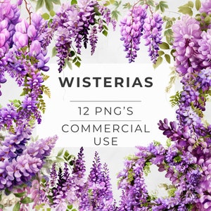 Glyzinien Clipart, Aquarell Blumen, Lila Frühlingsblume, PNG, Kranz, Bouquet, Sublimationsdesigns, digitaler Download, kommerzielle Nutzung