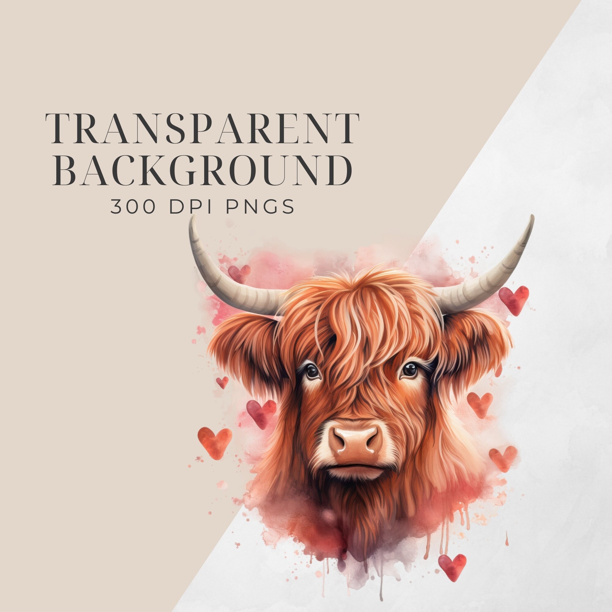 Highland Cow Valentine Clipart, Transparent PNG, Helfer, Cute