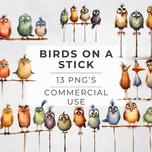 Imágenes prediseñadas de pájaros divertidos, pájaros lindos en un palo, animales extravagantes en una rama, imágenes de sublimación, acuarela, uso comercial, PNG transparente