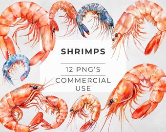 Watercolor Shrimp Clipart: Seafood PNG Graphics (Commercial Use)