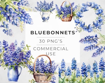 Watercolor Bluebonnet Clipart: Boho Wildflower PNG Graphics (Digital Download)