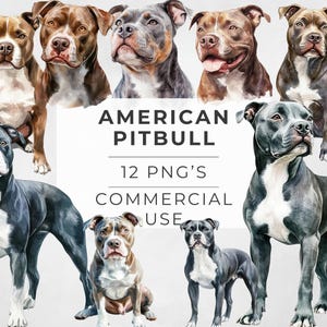 American Bully Clipart: Watercolor Pitbull Dog Illustration (Digital Download)