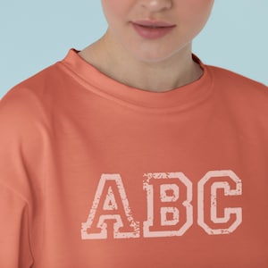 May include: A coral colored sweatshirt with the letters "ABC" printed in a white distressed font.