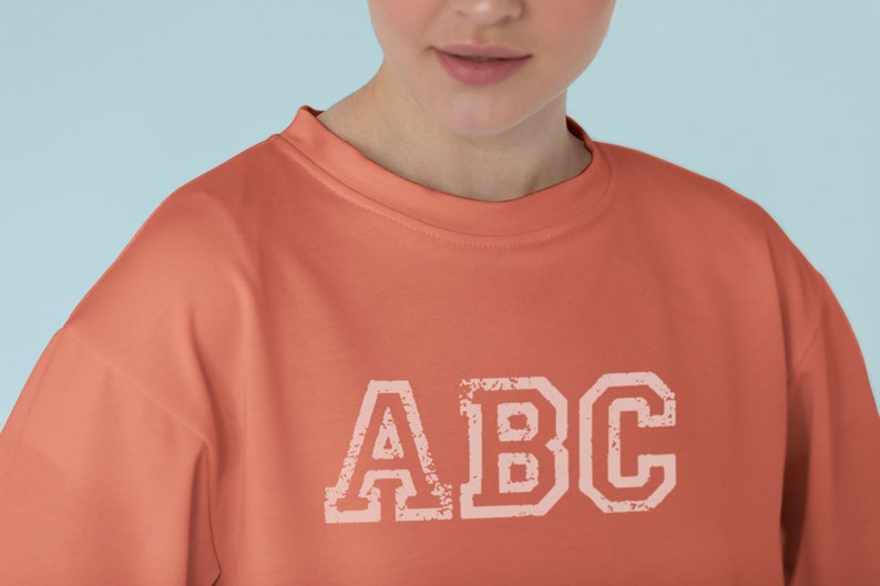 May include: A coral colored sweatshirt with the letters "ABC" printed in a white distressed font.