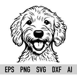 Goldendoodle SVG