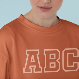 May include: A burnt orange sweatshirt with the letters "ABC" in white outlined in a thicker white line.