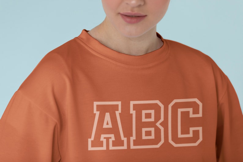 May include: A burnt orange sweatshirt with the letters "ABC" in white outlined in a thicker white line.