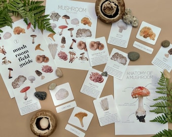 Przewodnik po grzybach | Wydrukowane materiały do nauki przyrody STEM Homeschool Resources Program nauczania Aktywności edukacyjne Fiszki Forest School