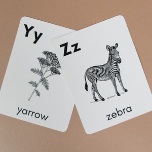 Natur Alphabet Karten | Printable ABC Flash Karte Homeschool Wissenschaft Vorschule Tiere Montessori Kindergarten Kleinkind