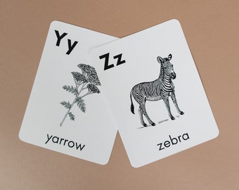 Nature Alphabet Cards | Printable ABC Flash Card Homeschool Science Preschool Animals Montessori Nursery Toddler