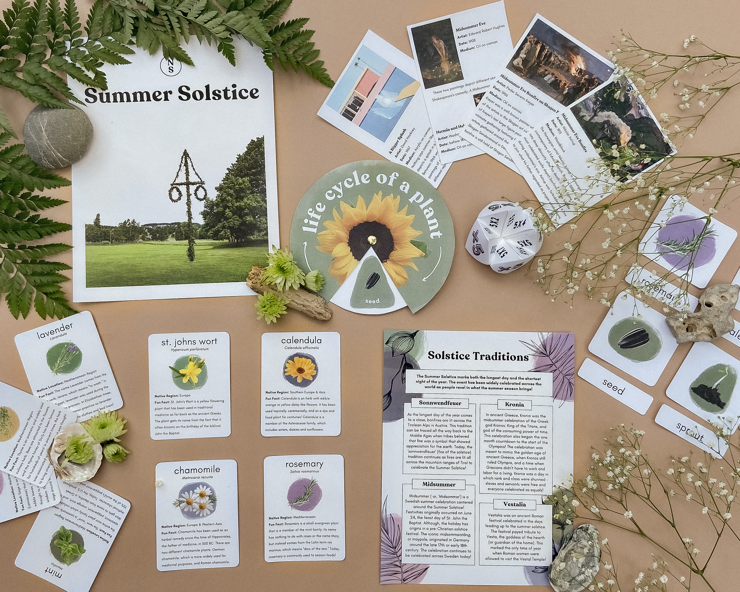 summer solstice unit study printable nature study stem etsy