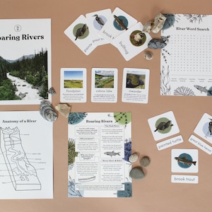Roaring Rivers Unit Study | Printable Nature Study STEM Worksheets Homeschool Resources Curriculum Learning Toddler Activities