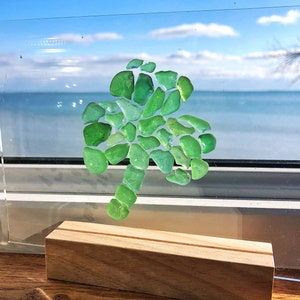 Shamrock, Clover, 4 x 6 FRAMED beach glass, St.Patrick's Day, Luck of the Irish image 3