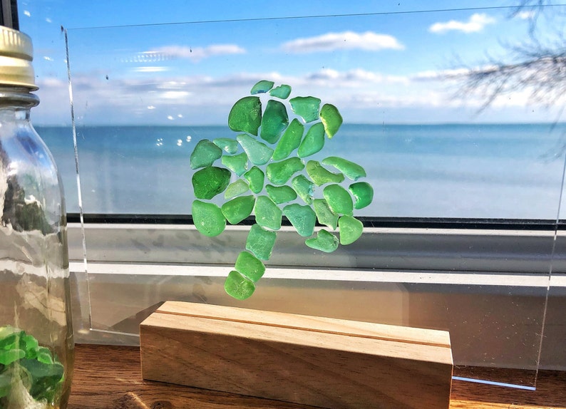 Shamrock, Clover, 4 x 6 FRAMED beach glass, St.Patrick's Day, Luck of the Irish image 3