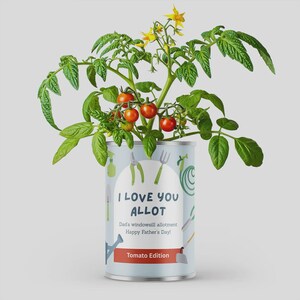 Cadeau personnalisé pour la fête des pères, cadeau jardinage pour la fête des pères - Kit de culture de légumes, cadeau pour papa, cadeau pour grand-père