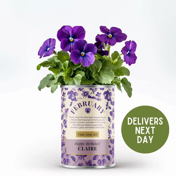 Personalized February Birth Flower Gift – Viola Grow Kit