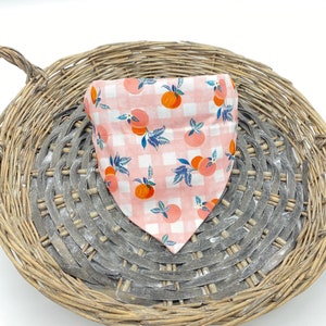 Peach Dog Bandana-Summer Peach Bandana-Over the Collar-Cat Bandana-Puppy Neck Wear-Peach Doggy-Bees Bandana-Pet bandana