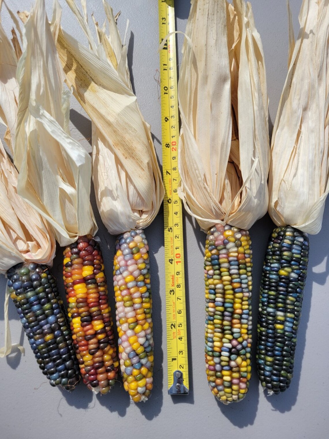 Beautiful Glass Gem Indian Corn Etsy