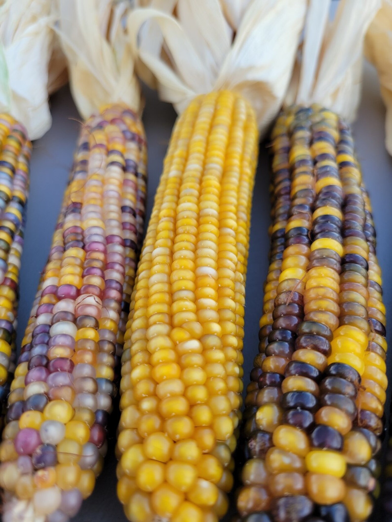 Beautiful Glass Gem Indian Corn Etsy